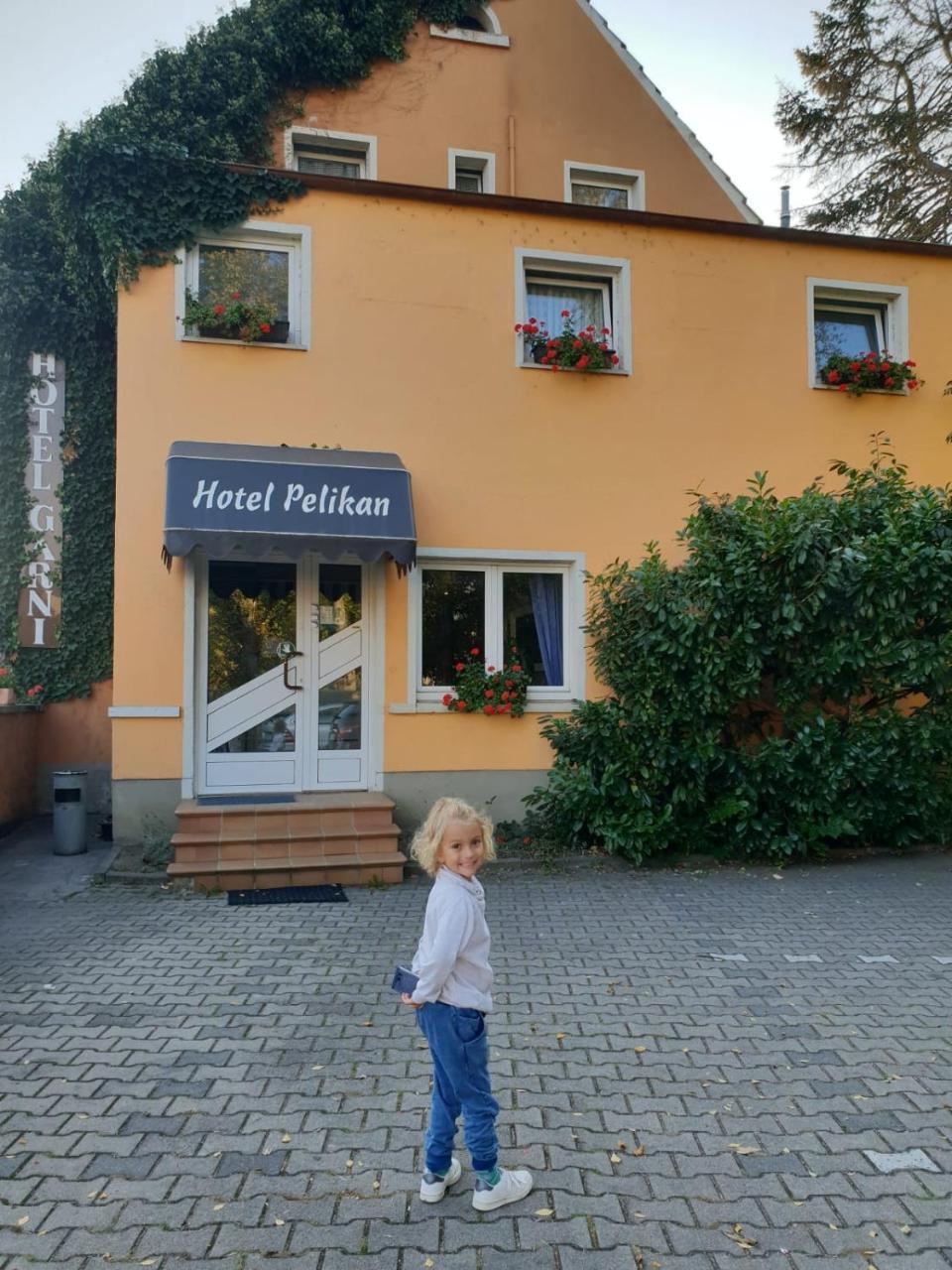 Hotel Pelikan Kitzingen Ngoại thất bức ảnh